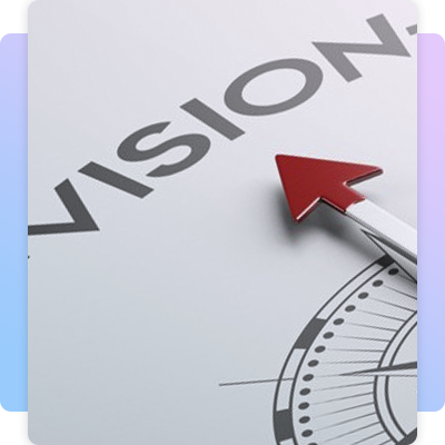 Vision and instincts